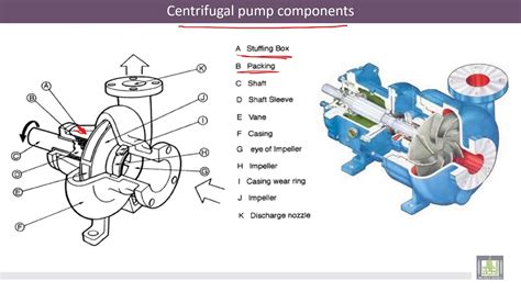 manometric head of centrifugal pump|centrifugal pump head dimensions.